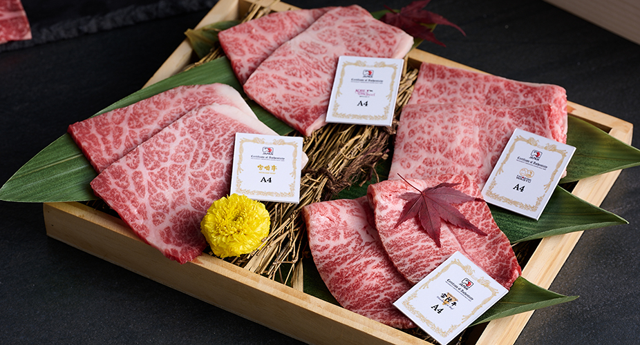 restaurant and food slider images